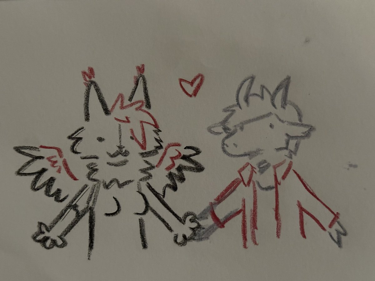 Torgore 🐐 tweet media