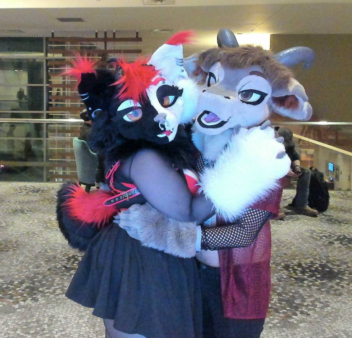 Torgore 🐐 tweet media