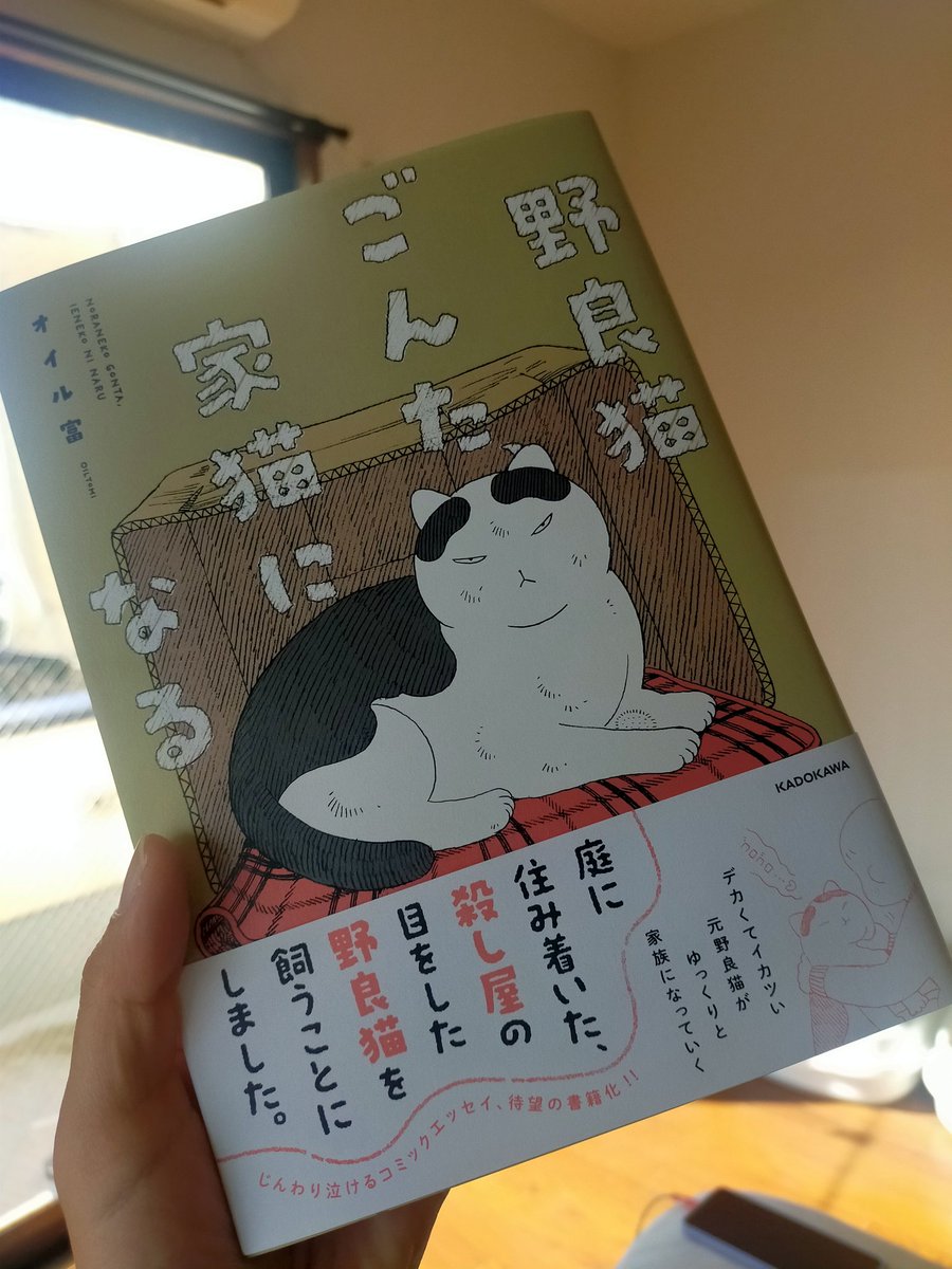 5月25日 (@snkiniens) / Posts / X