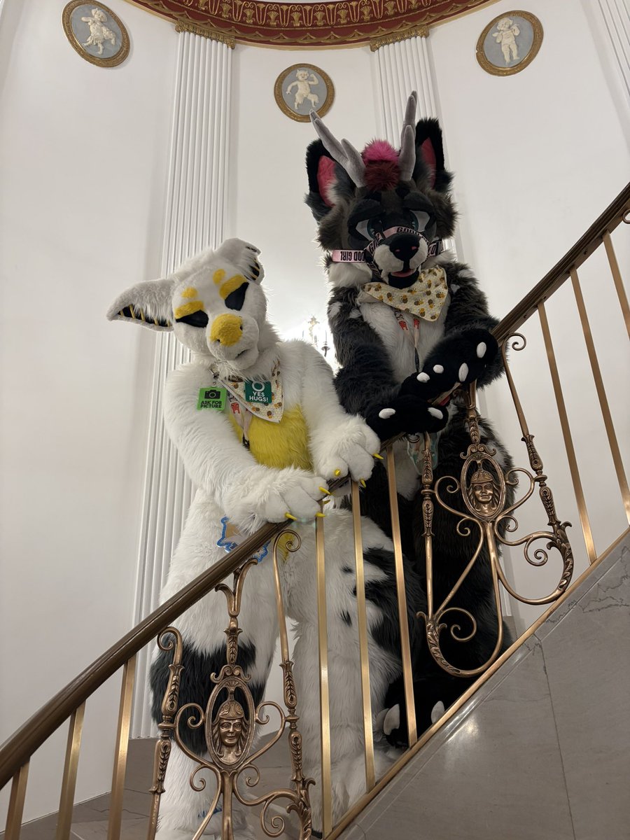 Tango Mango 🥭 tweet media