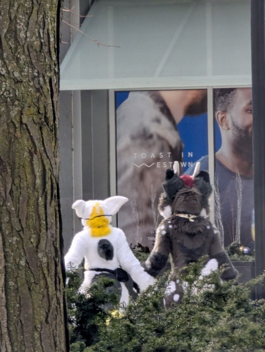 Tango Mango 🥭 tweet media