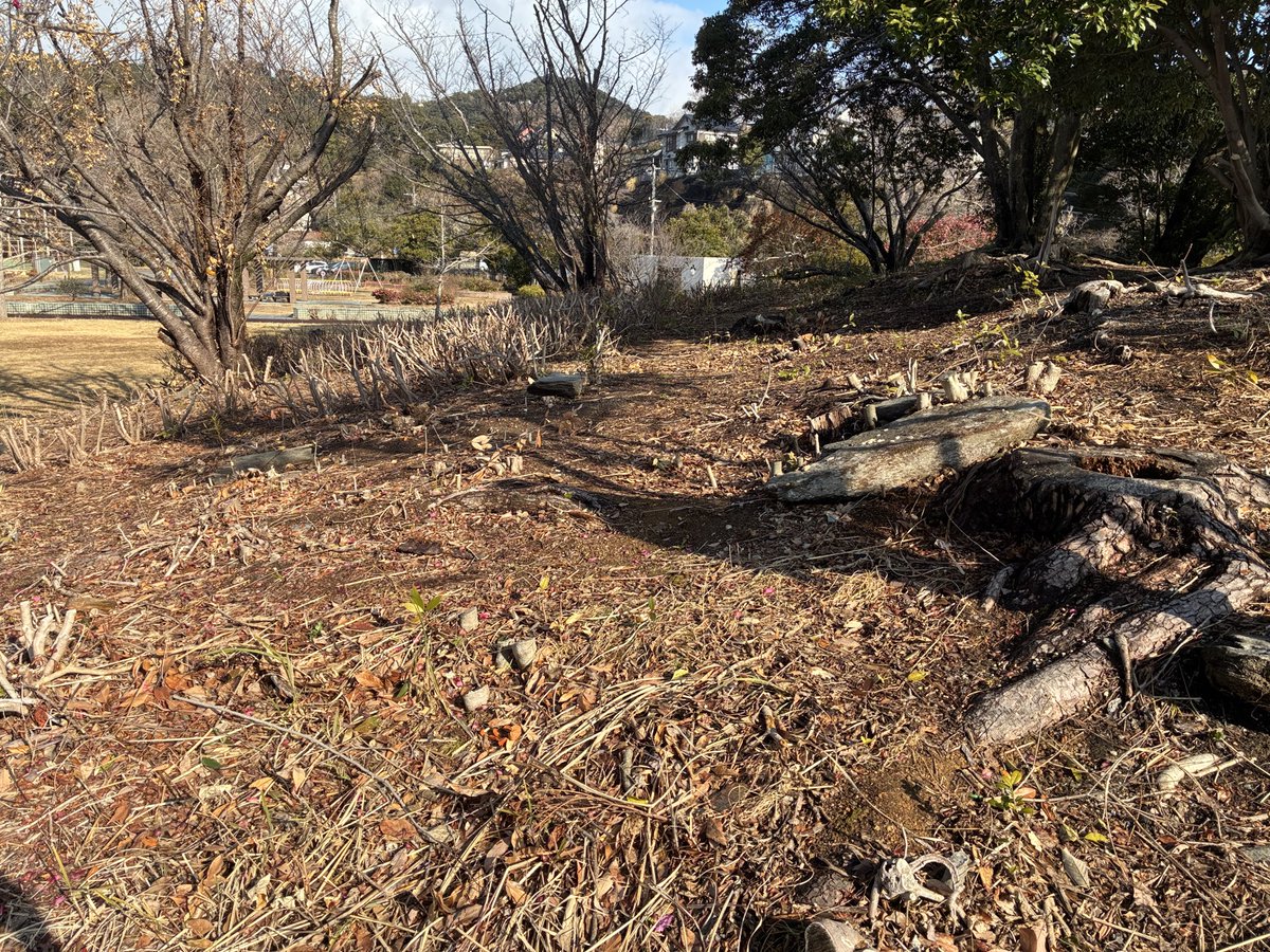 長崎市三重地域センター tweet media