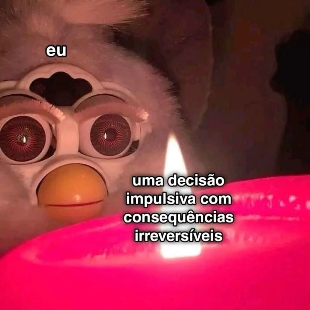 perfil dedicado a gatinhos e peitos (@odeiootaco) on Twitter photo 