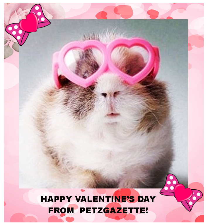 HAPPY VALENTINE'S DAY EVERYONE!
petzgazette.com