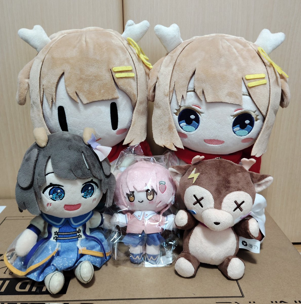 鹿乃ちゃんのぬいぐるみ5体で写真撮ってみた～！！！！ 5体も鹿乃