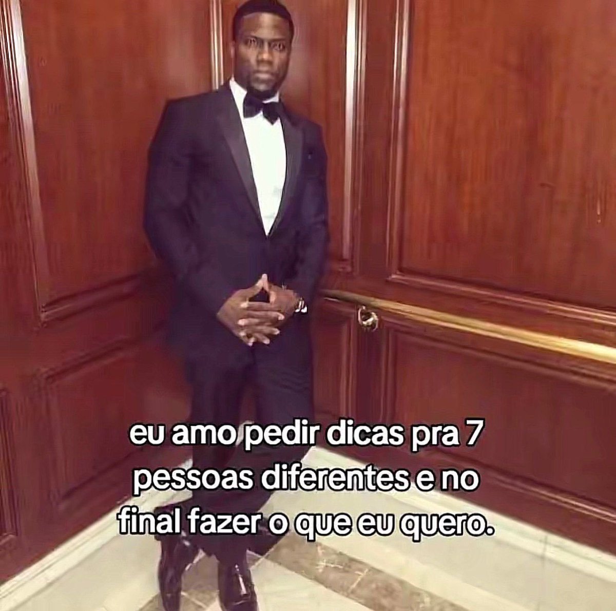 perfil dedicado a gatinhos e peitos (@odeiootaco) on Twitter photo 