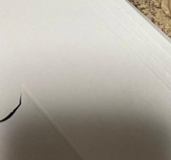 mouseCapone's tweet image. 友達を入る 🍍