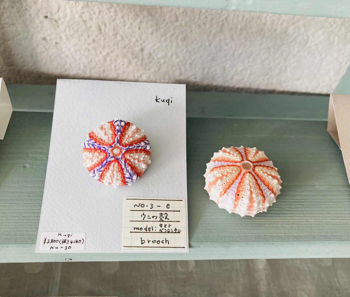 #アクアティックライフ展7
今水道ギャラリー内はこんな感じに  アクアティックです🐟