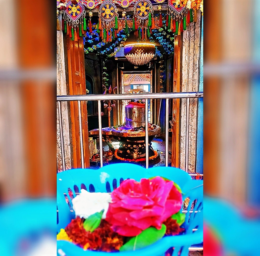 𝐇𝐀𝐏𝐏𝐘 𝐌𝐀𝐇𝐀𝐒𝐇𝐈𝐕𝐑𝐀𝐓𝐑𝐈 📿🔱🙏🌿🌼✨♥️
Fιrѕт love мαrrιαɢe ιɴ тнe wнole Uɴιverѕe 😍✨
🙏🏻"ॐ नमः पार्वती पतये हर हर महादेव"🙏🏻
#Mahashivratri #ShivUpasna
#भगवानशिव #महाशिवरात्रि  #शिवअनंत
#HarHarMahadev #15February
