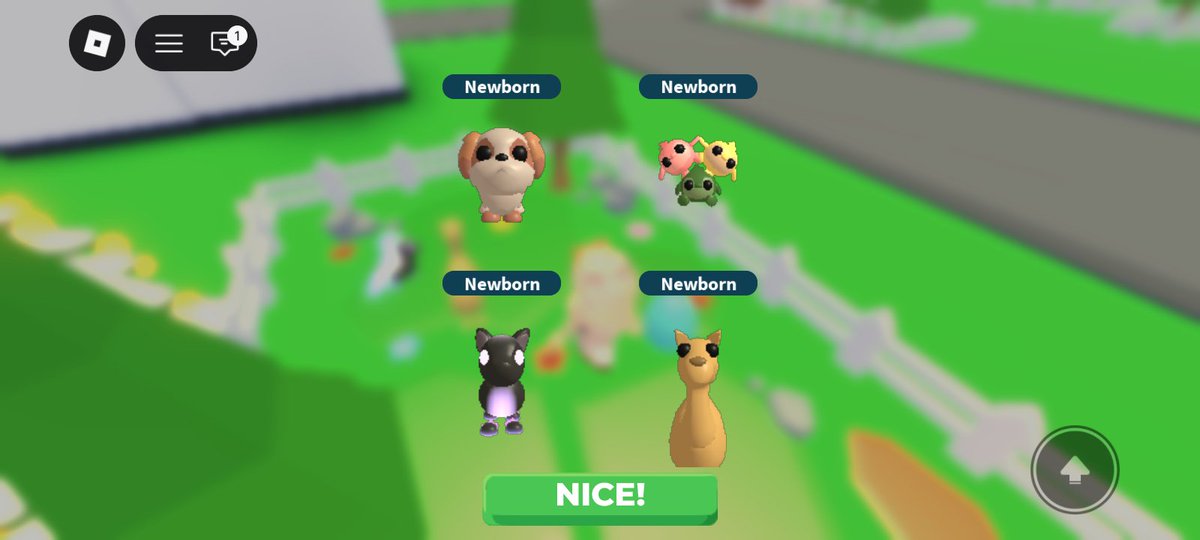 PrincessShaneB's tweet photo. look what I've got this morning 😍my luck is insane. https://t.co/9dmLg7BSyL