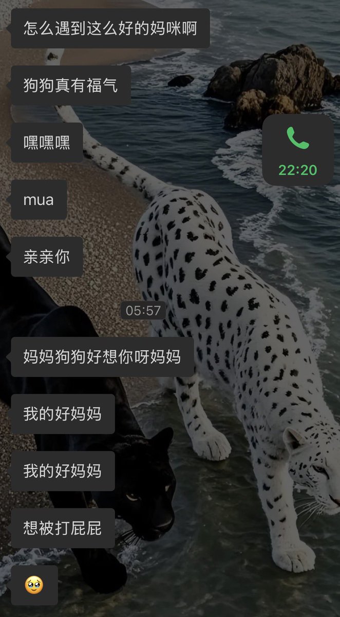 有些时候很想说自己有多幸福，睡醒看到这些小狗话觉得又可怜又可爱，所以把狗揪起来揍了一顿，刚刚才让她继续睡了
另外其实墙内完全不发这些岁月静好是因为，身边朋友全都知道我玩多大………………自从第一次带狗出门被她们发现在酒店的肛塞和两大包尿垫之后，再怎么说狗当1很爽都0人信了哈哈哈哈哈哈