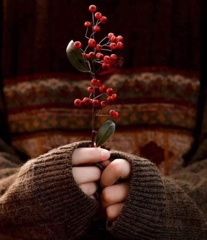 💜عطر الياســمين-❥❥ (@el_yyasmen) on Twitter photo 