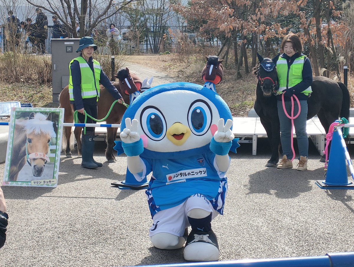 仙台戦〜

あぁぁ…

（※フリ丸の写真を眺め色々な感情を省いて……半日たって）

2節目で実感したこと

……

自分の席があるっていいな♡

シーチケっていいな♡
来週も同じ席♡

#yokohamafc
#シーズンシートのすゝめ