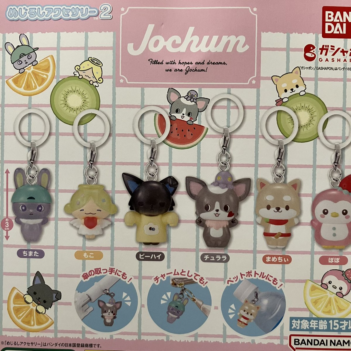 ✨❎2月15日(日)完売情報❎✨ 🔥POWER KNUCKLE byTOUMA × KAMEN RIDER