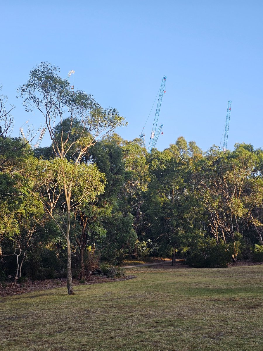 TedBaillieu's tweet photo. The Yarra corridor - taking yet another hit! Too sad https://t.co/Q9iVwsTQv3