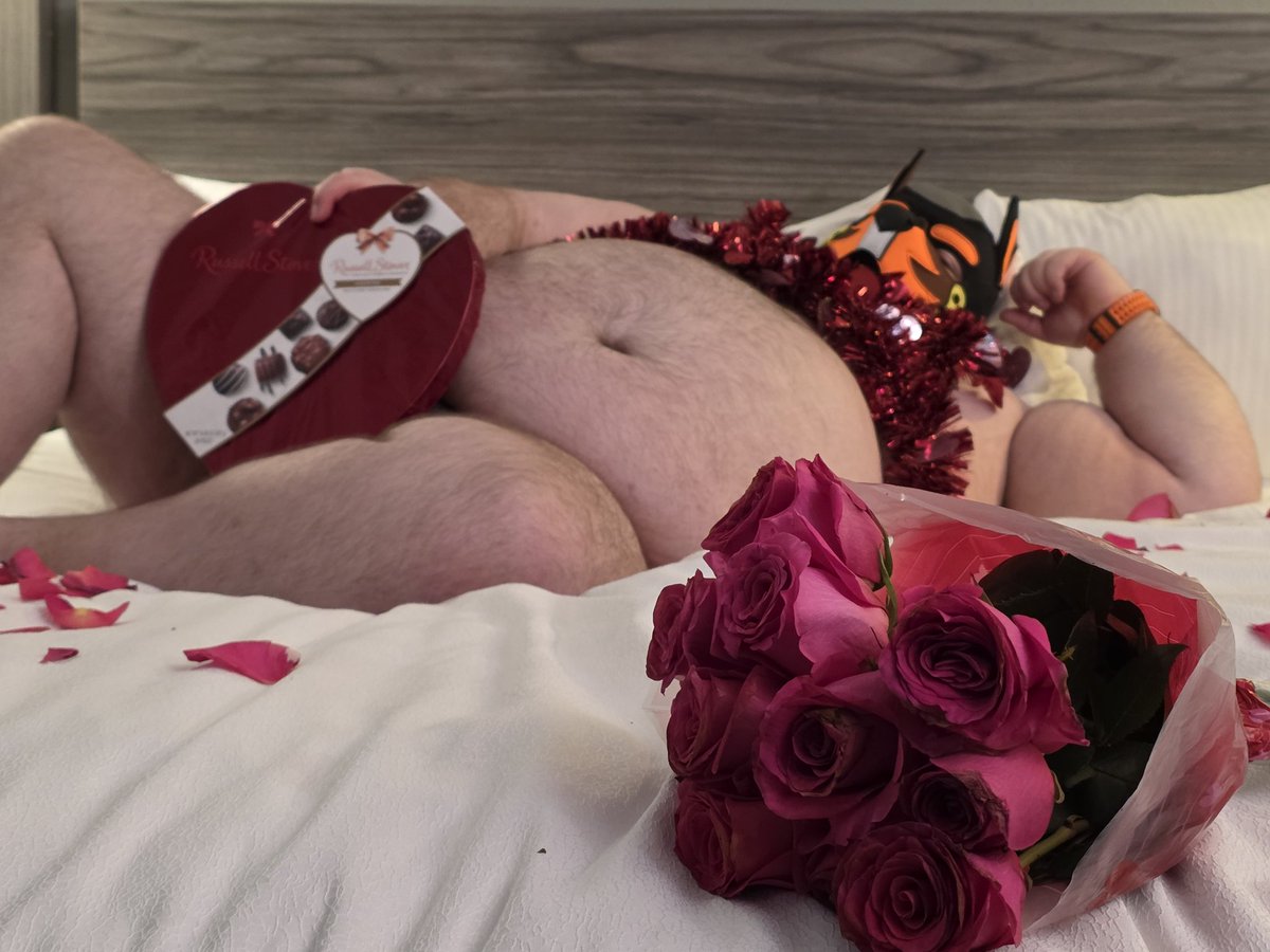 🍔Haₘ🐷Beₐᵣ🐻Grᵣₛ🍔 tweet media