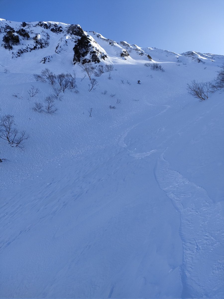 the8_41's tweet photo. 2026年ということで標高2026mの仙ノ倉へ。イイ沢には熟成されたパウダーが残されてて楽しい滑走ができました。 https://t.co/yUj1ECrW7I