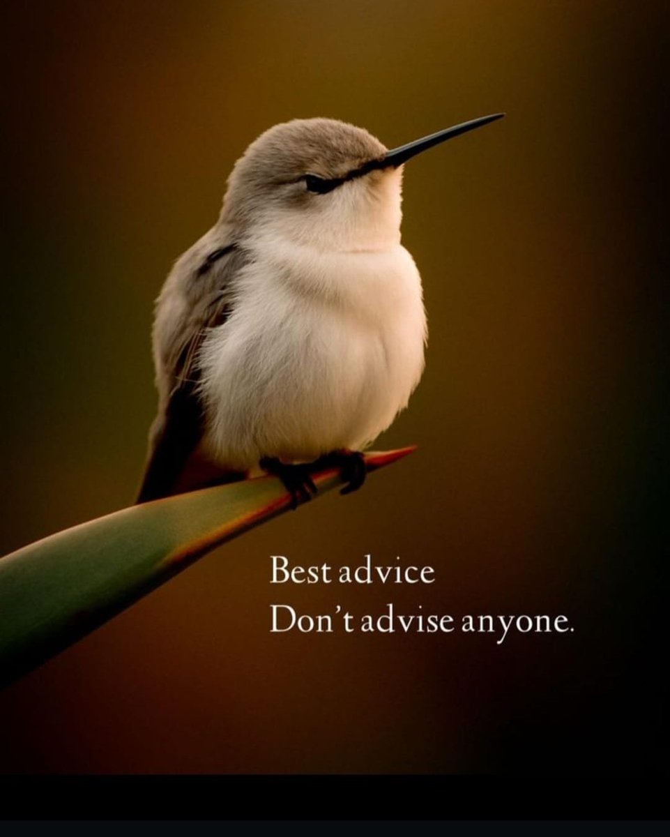 Pankaj Parekh tweet media