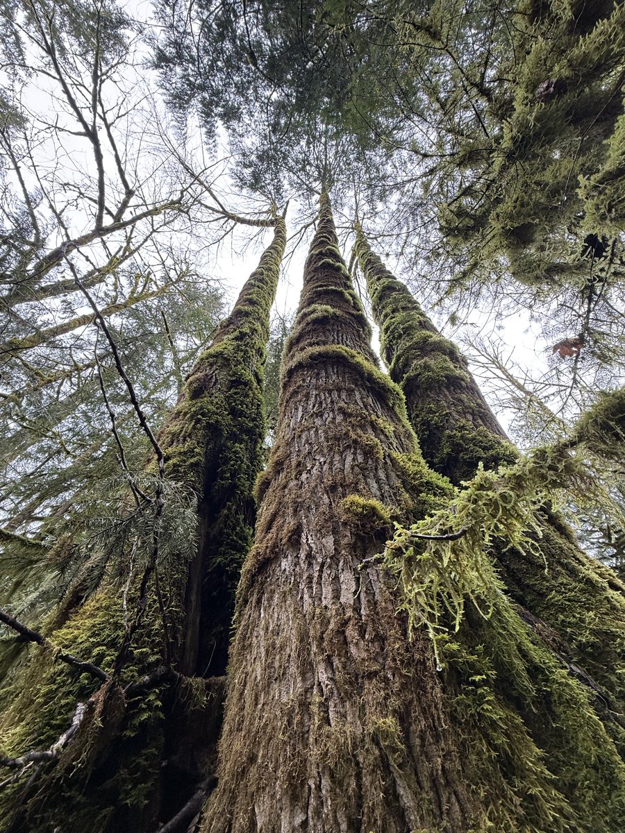 Andy Cliff Moss ٨ﮩﮩ٨ﮩﮩ٨٨ﮩﮩ٨ﮩﮩ٨ tweet media