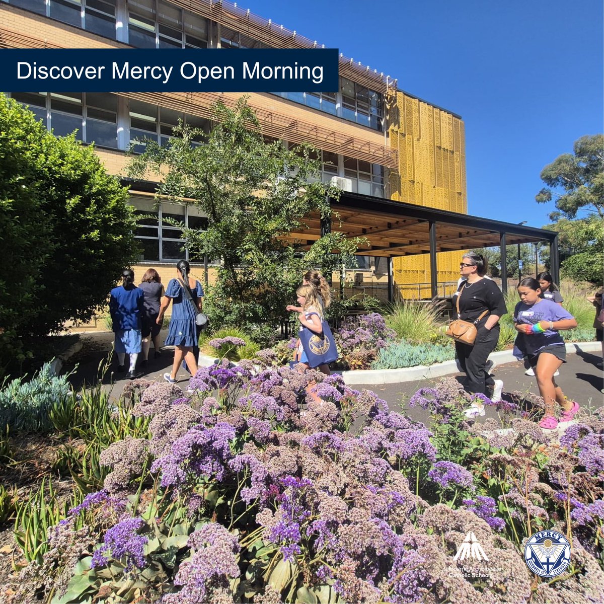 Mercy College tweet media