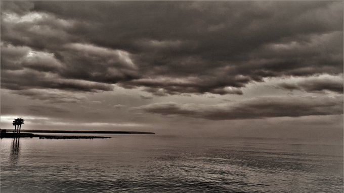 No sé si algún día
llegaré a comprenderme del todo (...)
Me han salvado las fantasías
de los libros leídos
y las leyendas escuchadas.
La voluntad de vivir
y perseguir la sabiduría...
Sentirte marioneta 
del aire, de las mareas...

<a href="/antoninegre/">© Antoni Negre Colmillo</a>
'#SolDeFebrero'