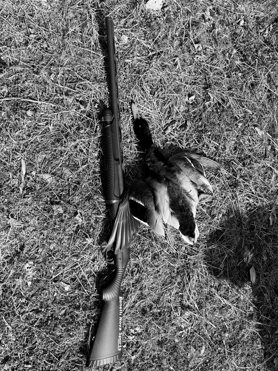 イノシシ回収からの鴨回収！