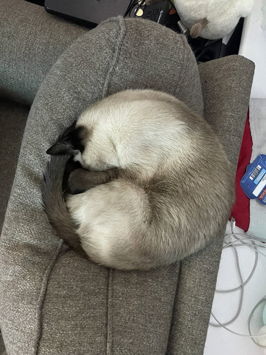 What shape forms when (x-a)²+(y-b)²=r² is graphed?

My well educated hairy son: