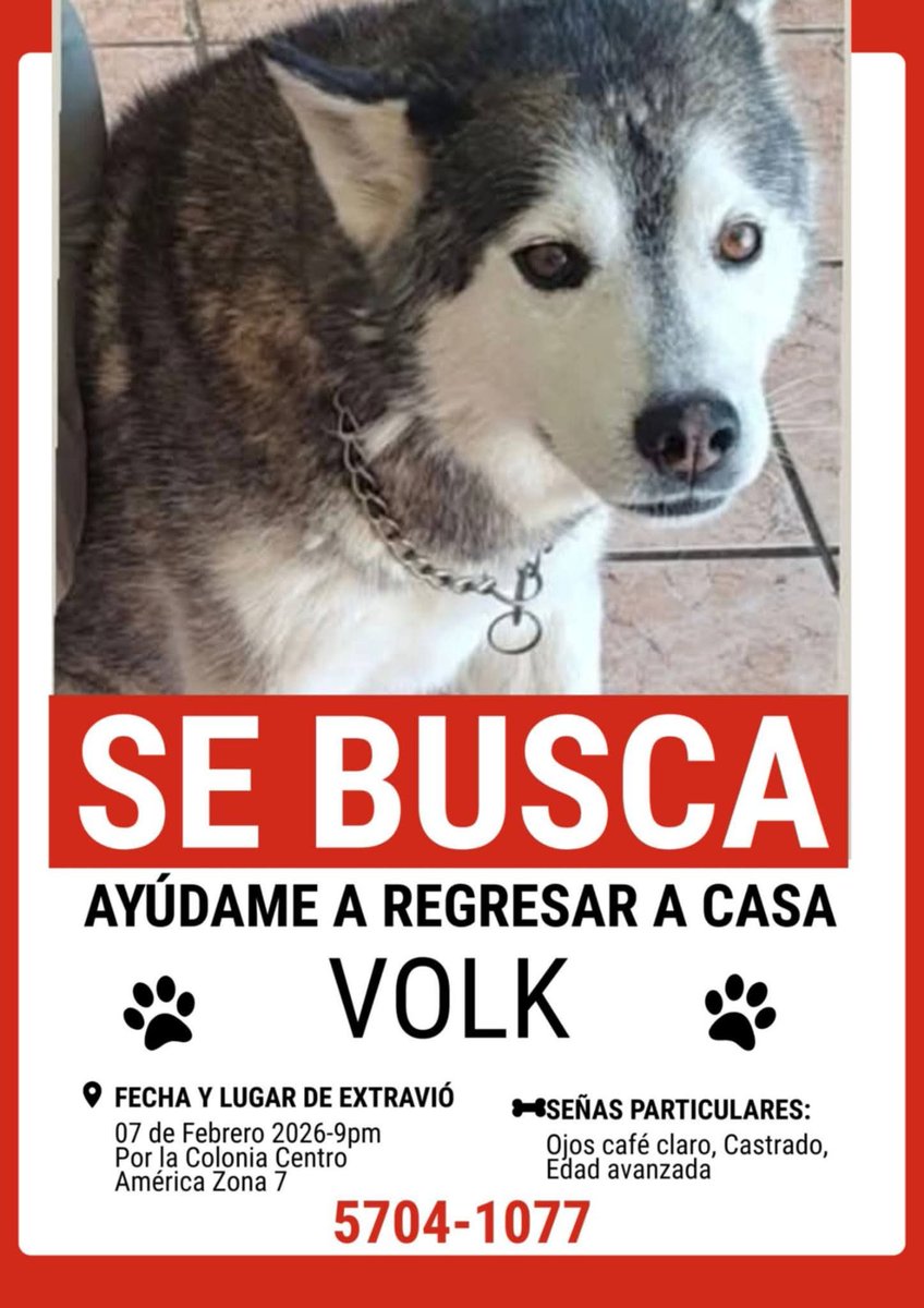 <a href="/ljfrosal/">ljfrosal</a> <a href="/guatexanimales2/">Guate Unida por los Animales</a> <a href="/SoyFlordeMaria/">Flor Reyes</a> Sigue la búsqueda....
