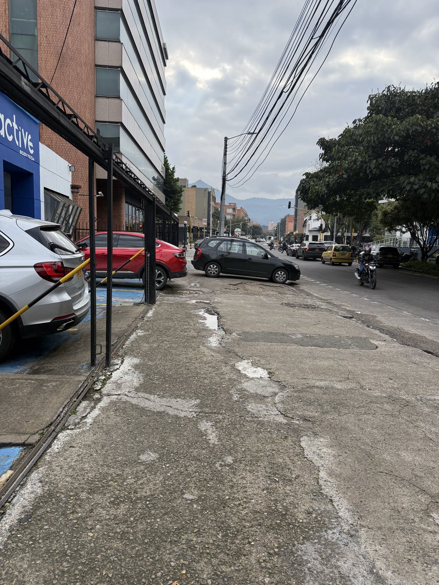 Analucia Zarama tweet media