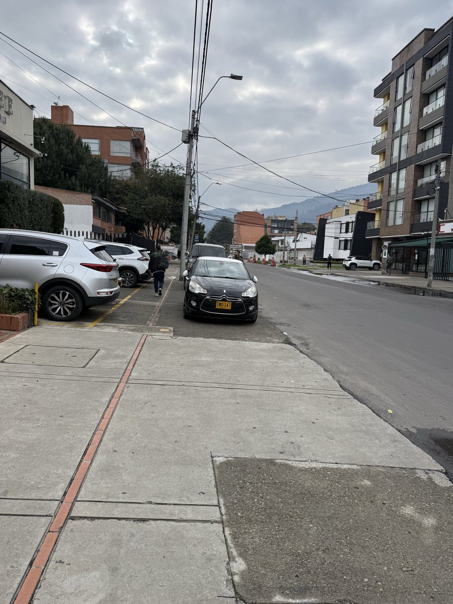 Analucia Zarama tweet media