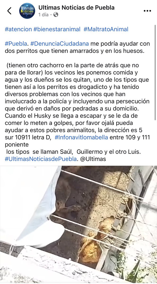.<a href="/IBAGobPue/">Instituto de Bienestar Animal PUE</a> <a href="/FiscaliaPuebla/">FGE Puebla</a>