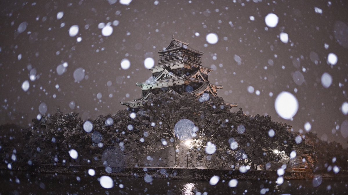 かど。 tweet media