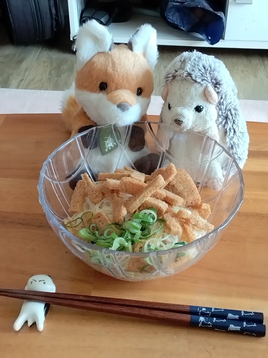 にゃー吉 (@nya_kichi_1215) / Posts / X