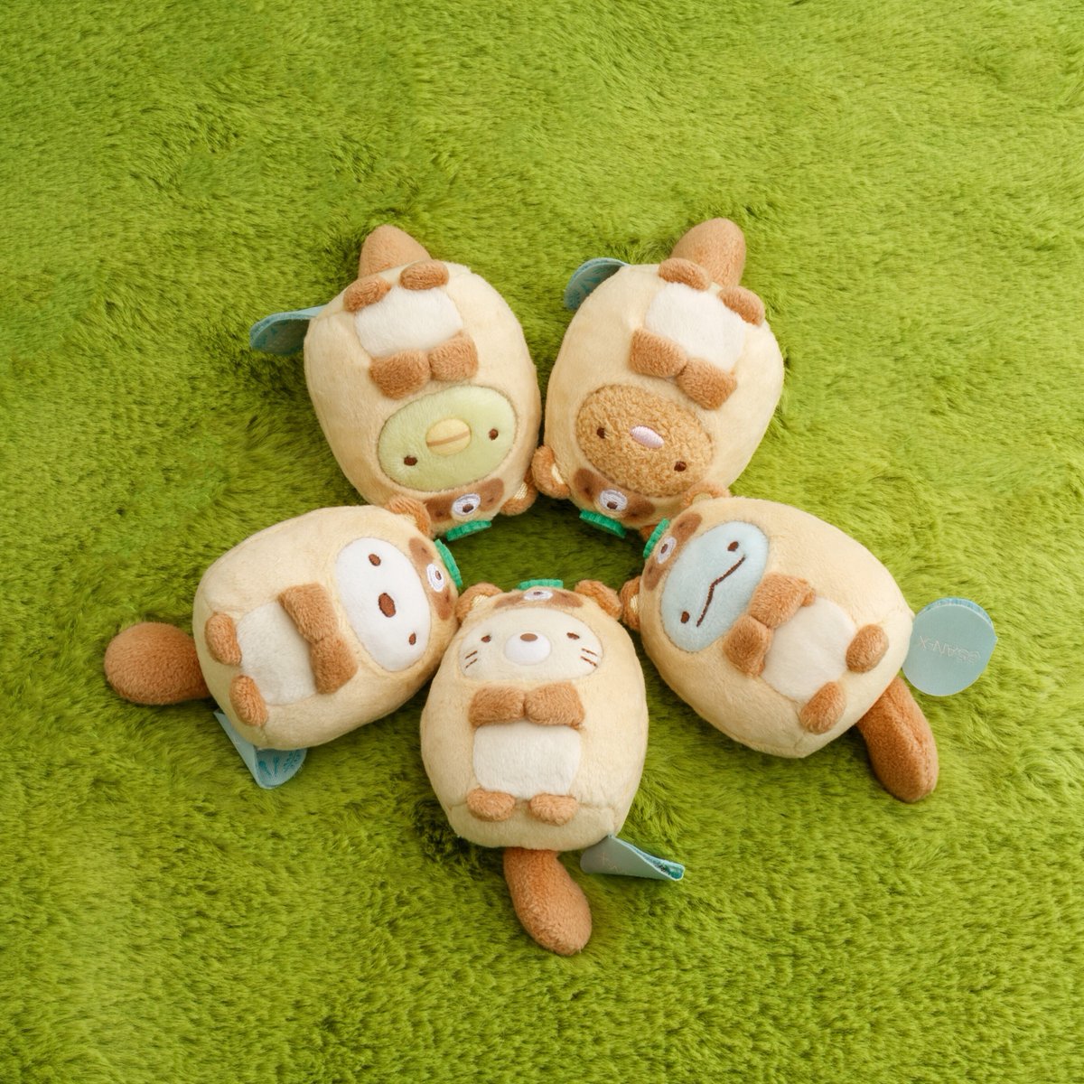 すみっコたちが、たぬきになっちゃった！？🍃 コロンとかわいいてのり