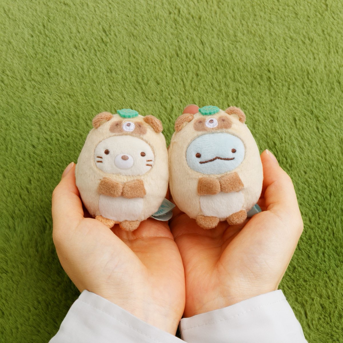 すみっコたちが、たぬきになっちゃった！？🍃 コロンとかわいいてのり