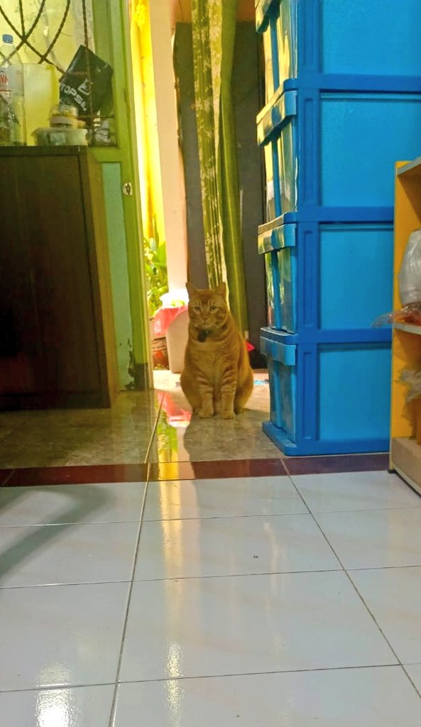 Lah ditinggal sendirian bgt ni???