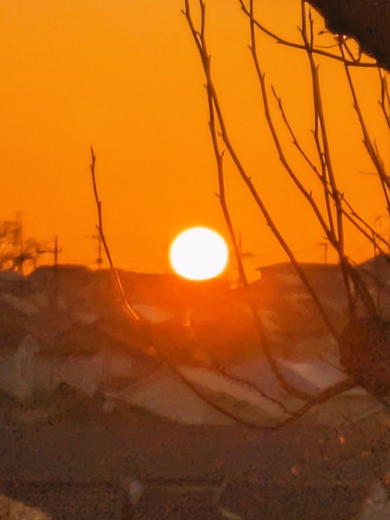🍒✨のんちゃん✨🍒 番茶(꜆*ˊᵕˋ)꜆✨🍻🌙* :ﾟ 夕日🌇綺麗ですね