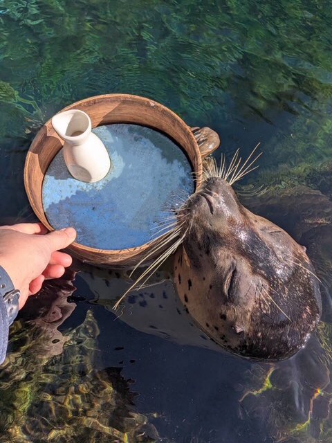 箱根園【公式】 tweet media