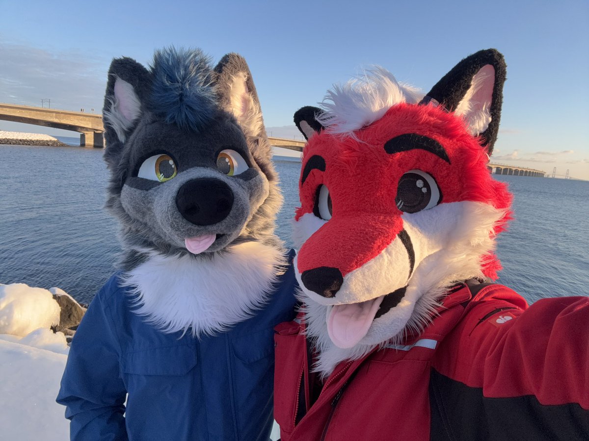 Szürky Farkas @NFC tweet media