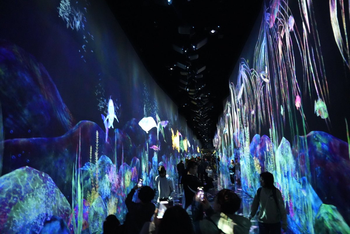 __charmcharm's tweet photo. 大移動、、、
さらば東京∠( ˙-˙ )/
昨日の「teamLab」の写真を添えて��️
#チームラボ
#teamlabplanets https://t.co/lRO2wIjbKT