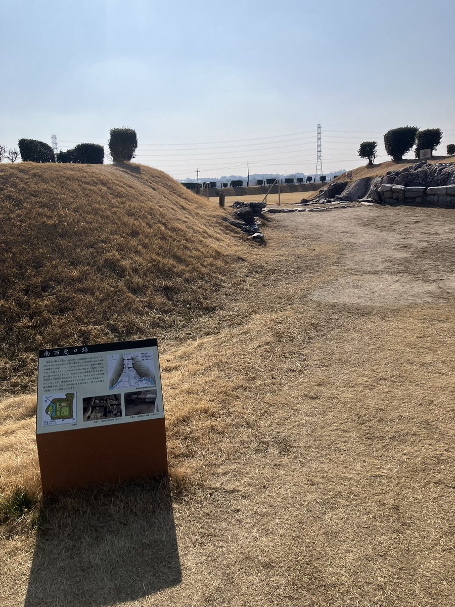 レッドショルダー tweet media