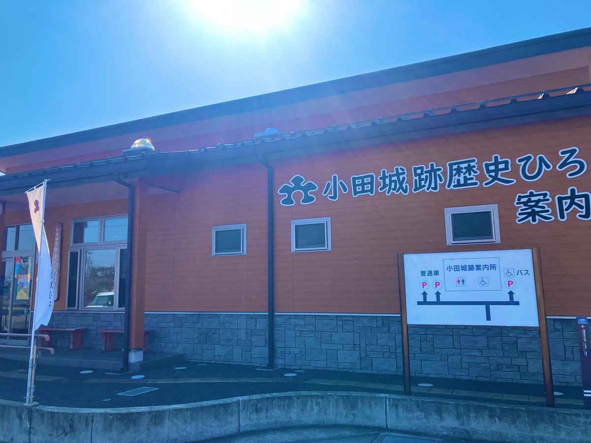 レッドショルダー tweet media