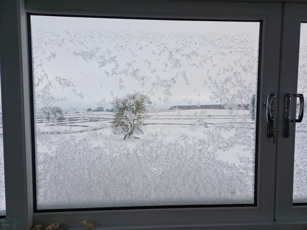 This morning's view framed: 
Winter wonderland at Shap ❄️
#AlphabetChallenge #WeekFforFramed