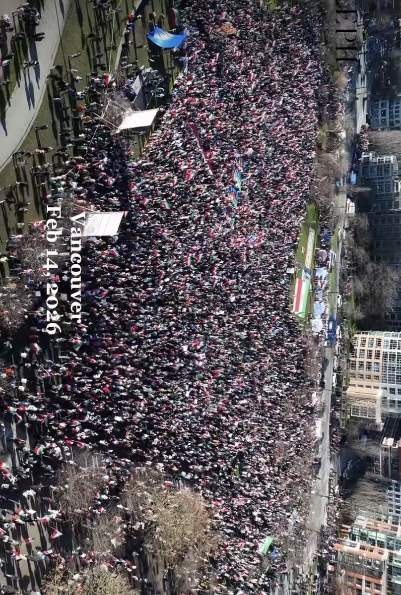 Mahsa Se tweet media