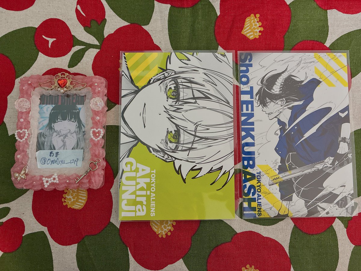 交換】 東京エイリアンズ 東エリ トレーディングポストカードセット