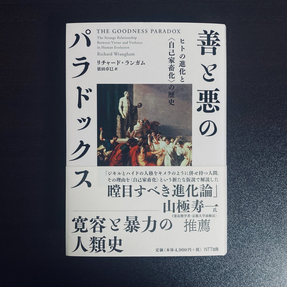 『善と悪のパラドックス』2週間ほどかけて読了。刺激的だった。

次は、積んでいる『キャリバンと魔女』『道徳の系譜』あたりを手に取りたくなった。