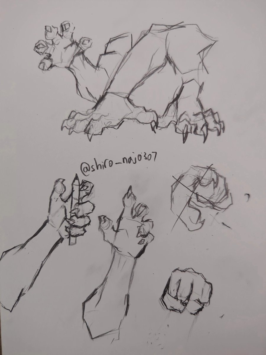 shiro_naj0307's tweet photo. Hands/paws are hard https://t.co/vkD46HBHuN