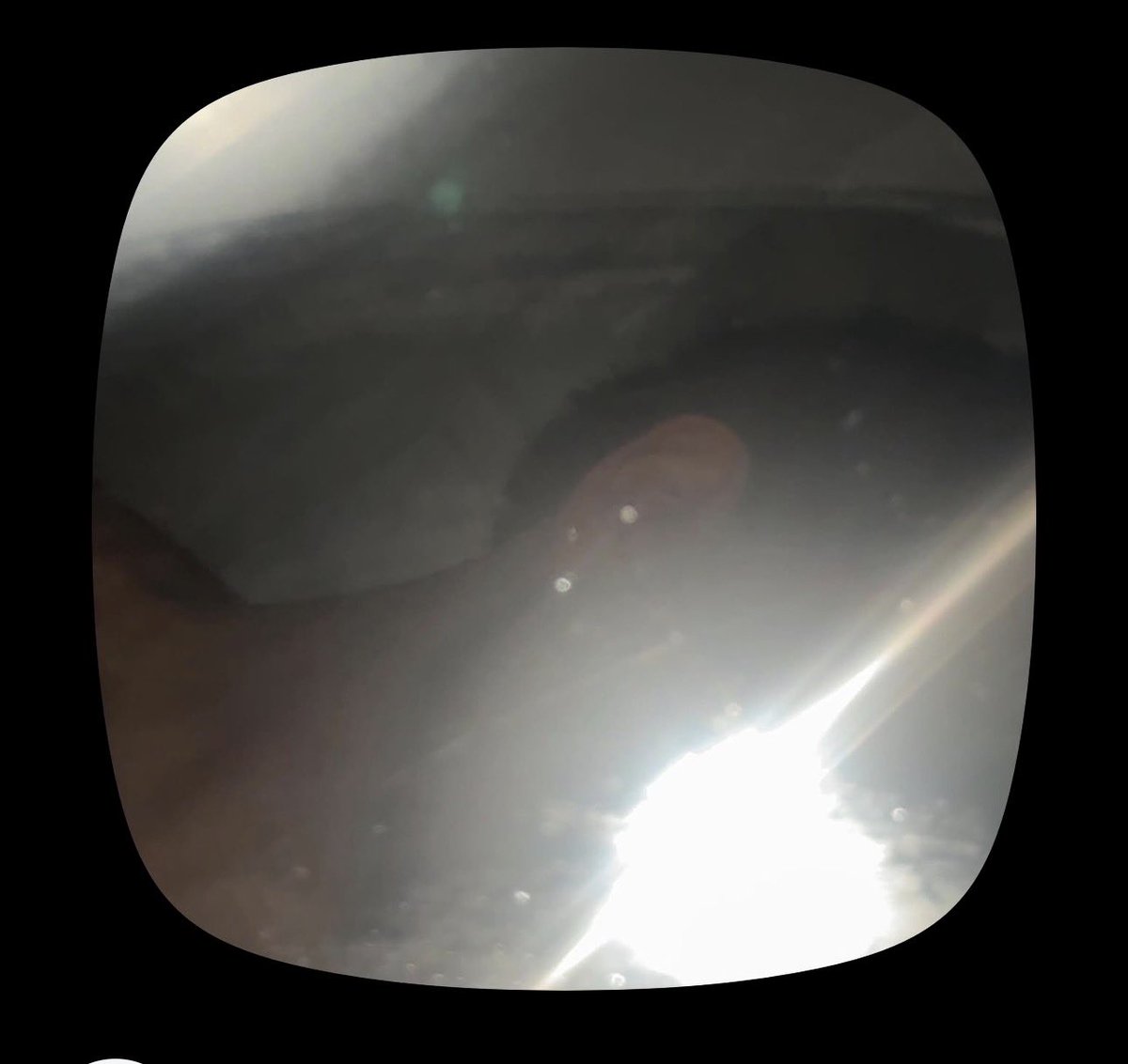 Adrixnpp's tweet image. 👋🏻