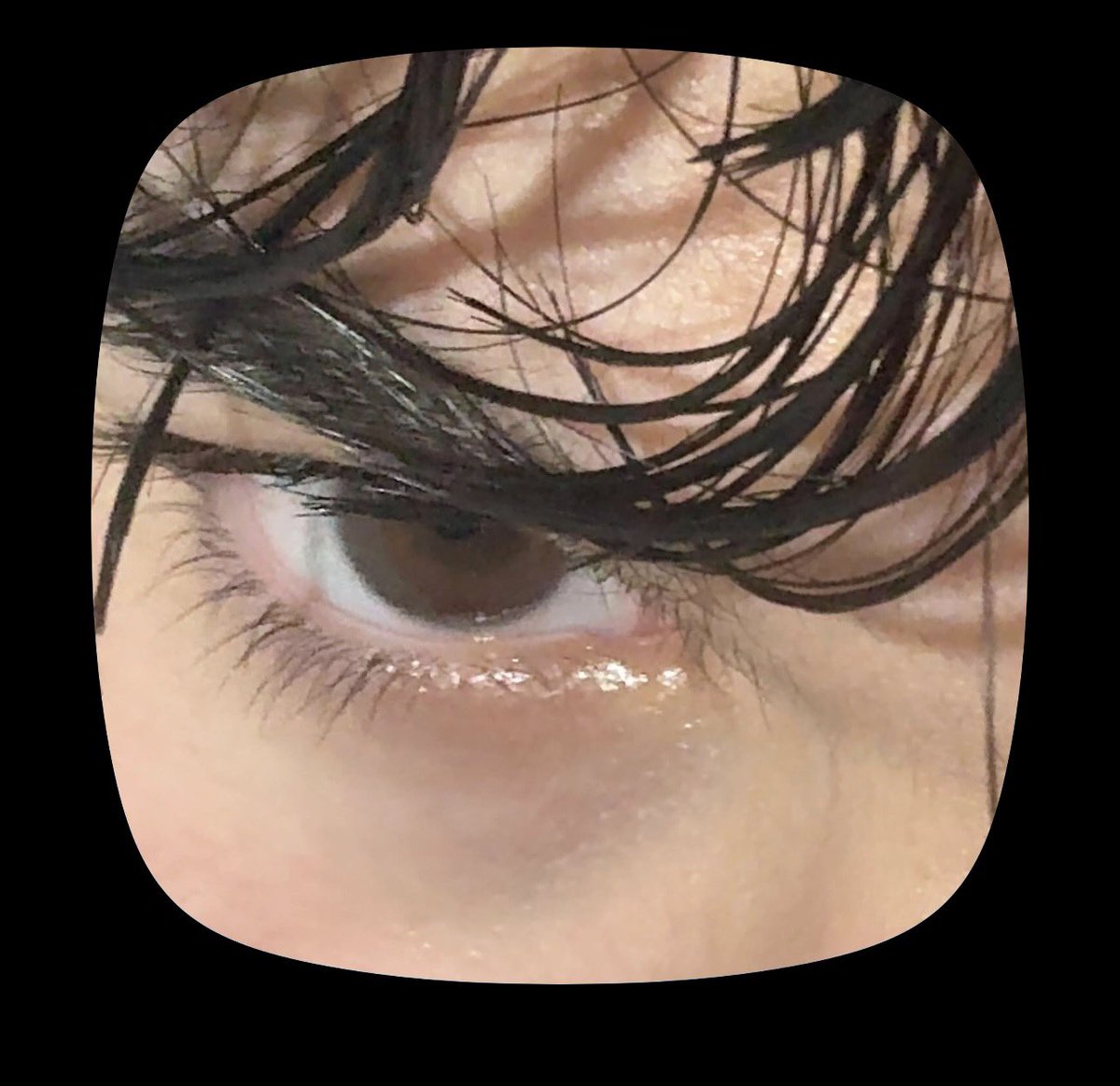 Adrixnpp's tweet image. 👋🏻