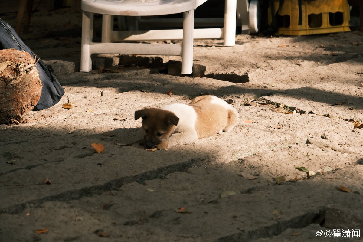 밍 (@d____o0o) on Twitter photo 